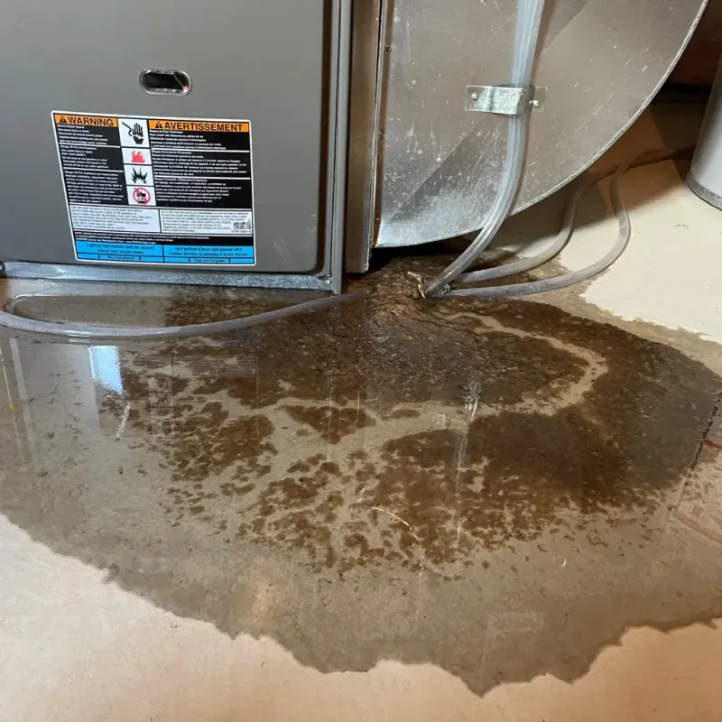 Appliance Leak Cleanup in Nellysford, VA