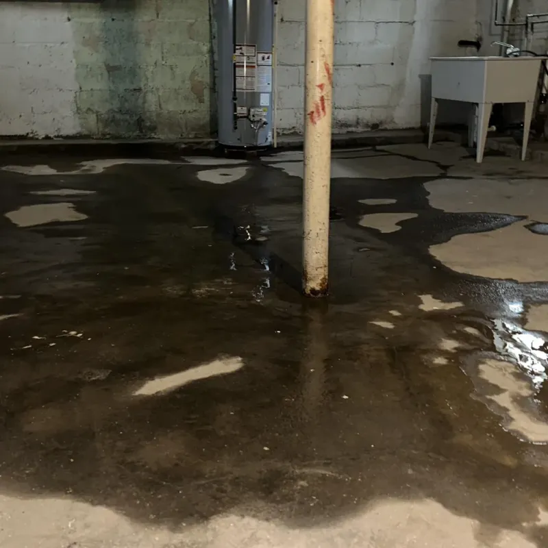Emergency Water Extraction And Removal in Nellysford, VA